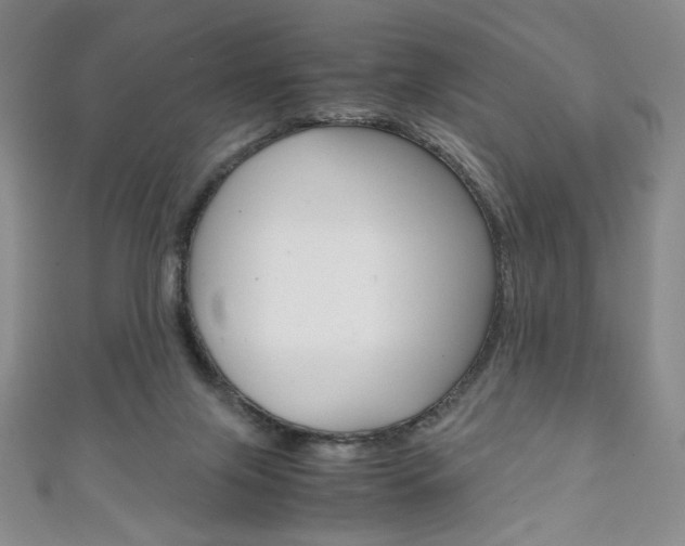 X0000111150071200906301046