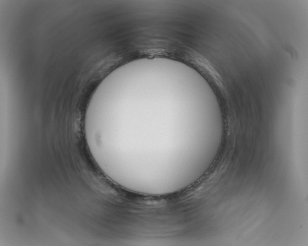 X0000111150073200906301046