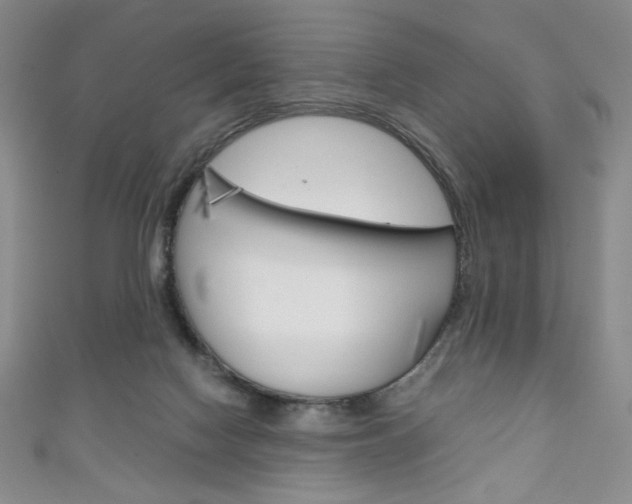 X0000111150074200906301046