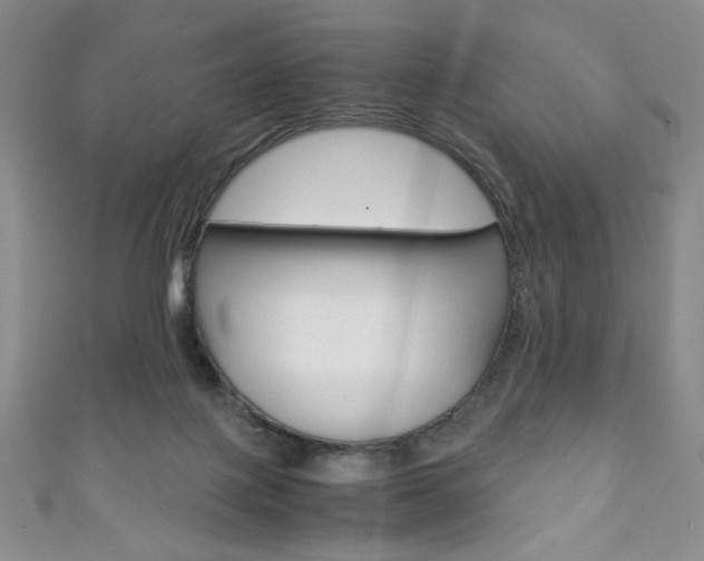 X0000111150075200906301046