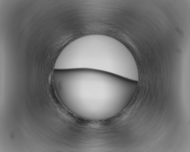 X0000111150076200906301046