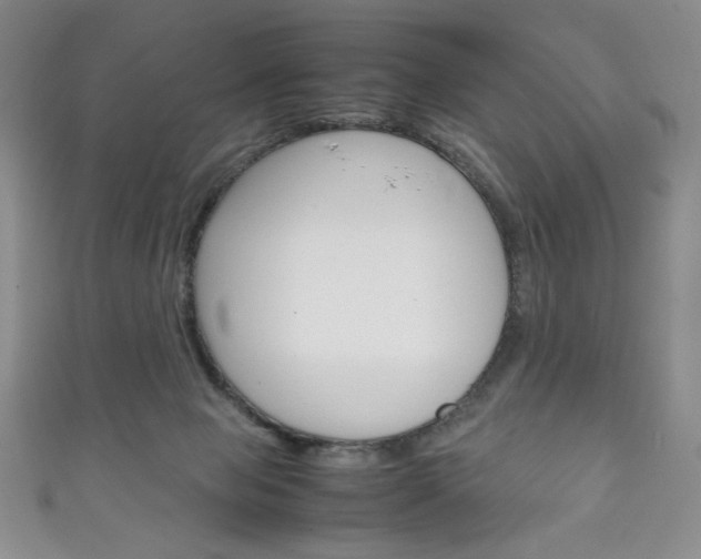 X0000111150077200906301046