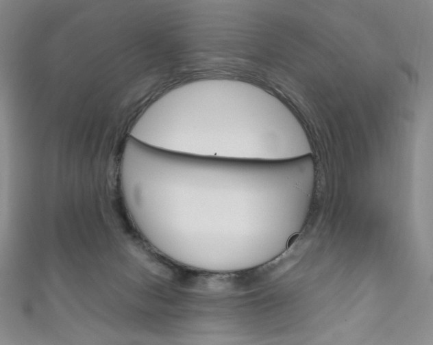 X0000111150078200906301046
