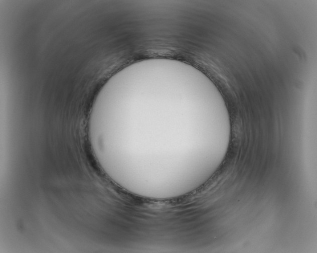 X0000111150079200906301046