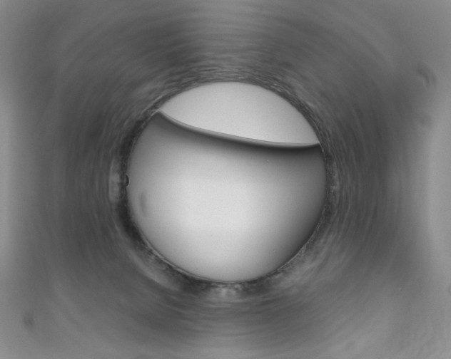 X0000111150080200906301046