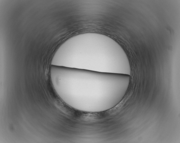 X0000111150082200906301046