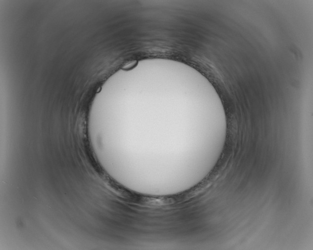 X0000111150083200906301046