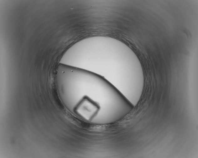 X0000111150084200906301046