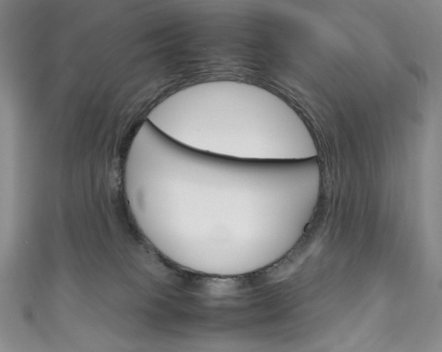 X0000111150085200906301046