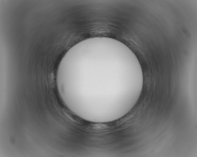 X0000111150087200906301046