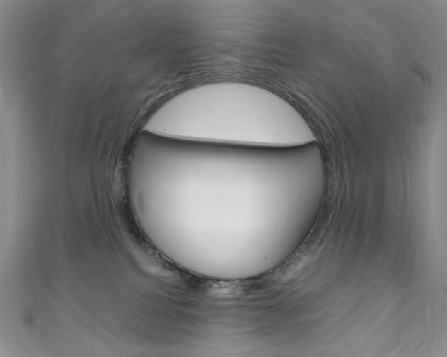 X0000111150088200906301046