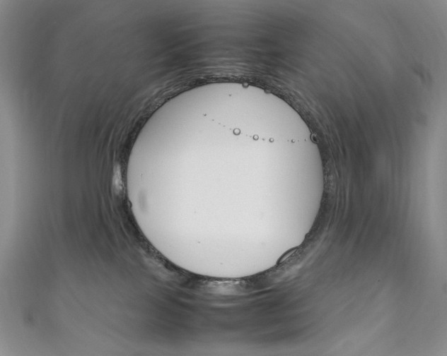 X0000111150089200906301046