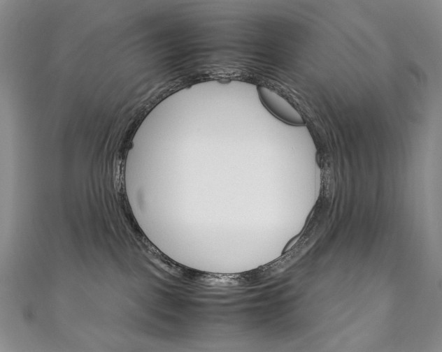 X0000111150093200906301046