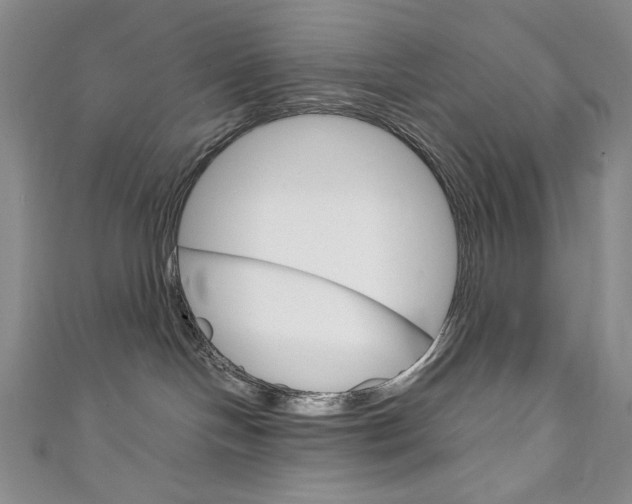X0000111150094200906301046
