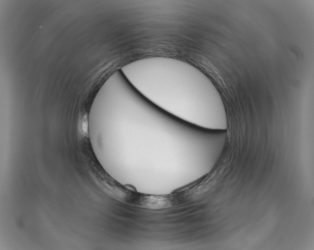 X0000111150095200906301046