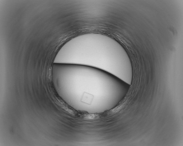X0000111150096200906301046