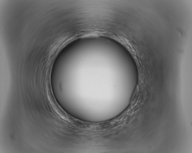 X0000111150097200906301046