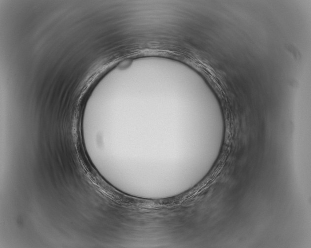 X0000111150098200906301046