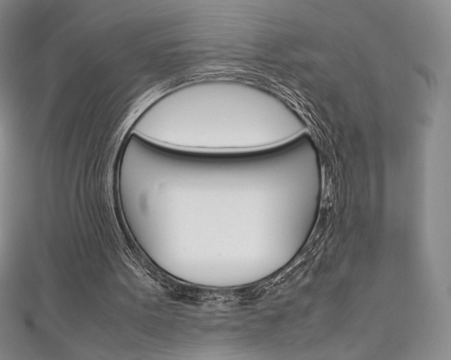 X0000111150099200906301046