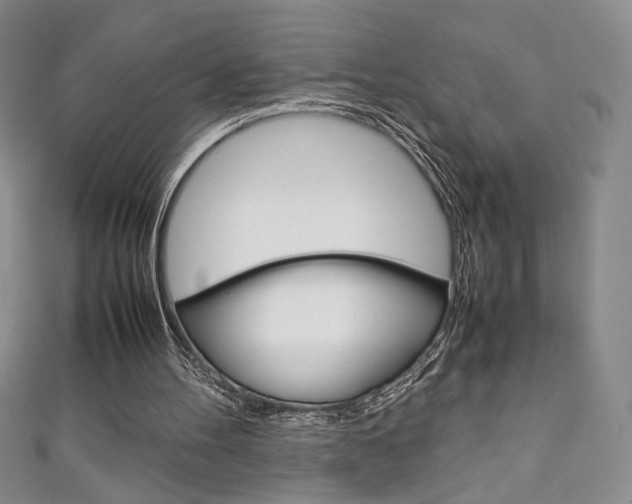 X0000111150100200906301046