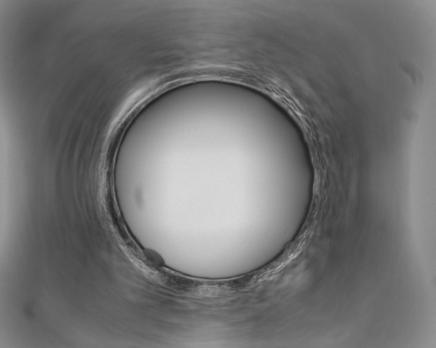 X0000111150101200906301046