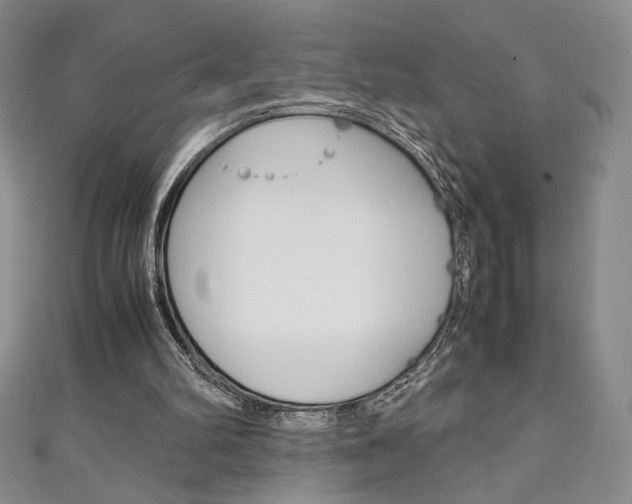 X0000111150102200906301046