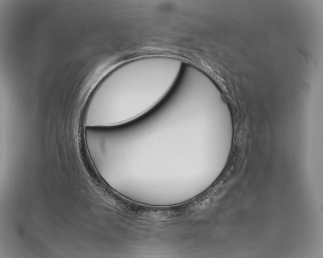 X0000111150103200906301046