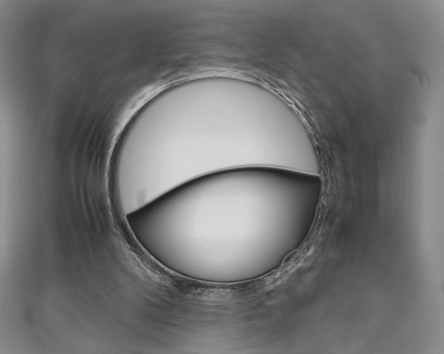 X0000111150104200906301046