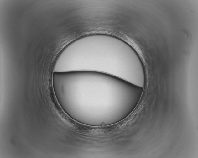 X0000111150105200906301046