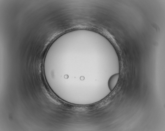 X0000111150106200906301046