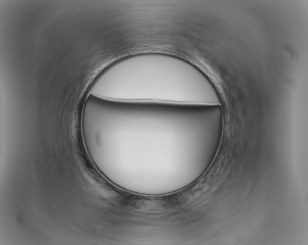 X0000111150107200906301046