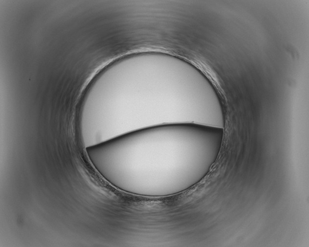 X0000111150108200906301046