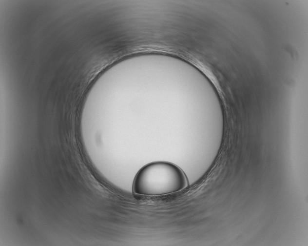 X0000111150109200906301046