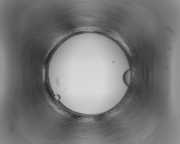 X0000111150110200906301046