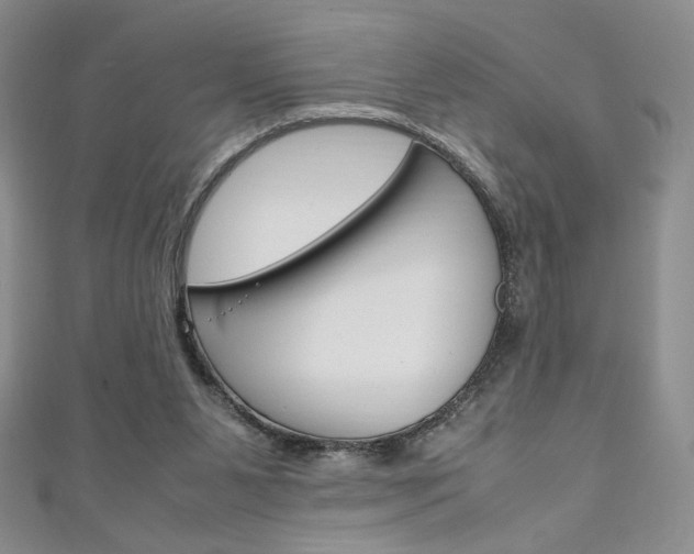 X0000111150111200906301046