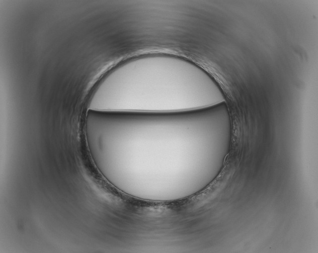 X0000111150112200906301046