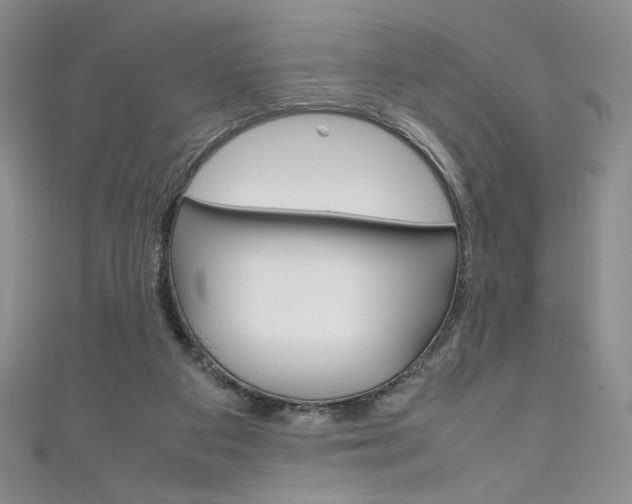 X0000111150113200906301046