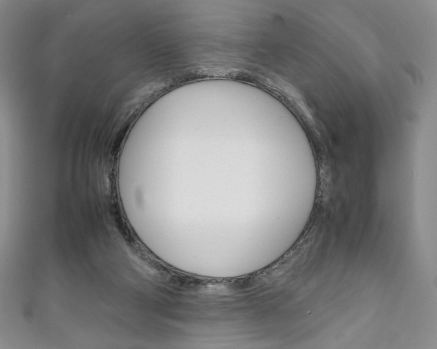 X0000111150114200906301046