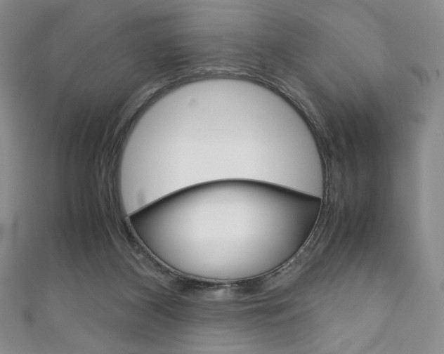 X0000111150116200906301046