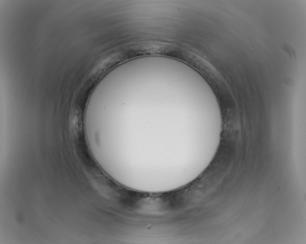 X0000111150119200906301046