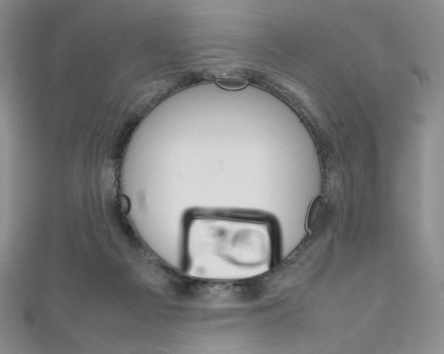 X0000111150121200906301046