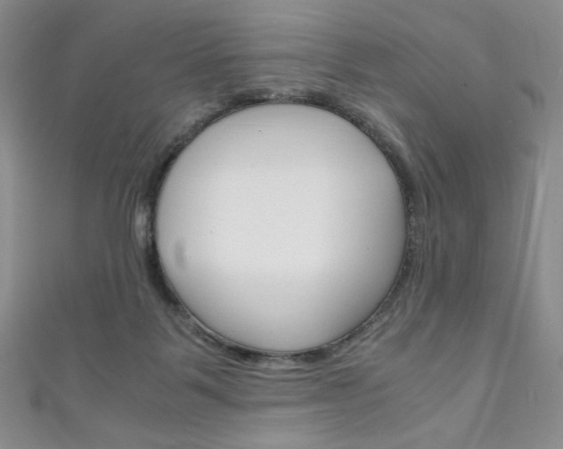 X0000111150123200906301046