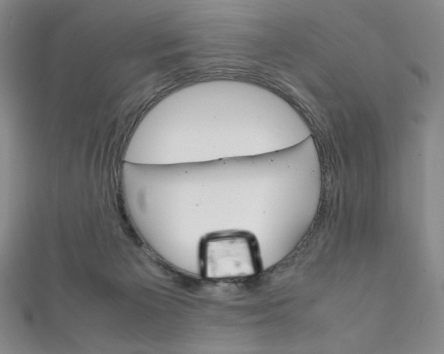 X0000111150125200906301046