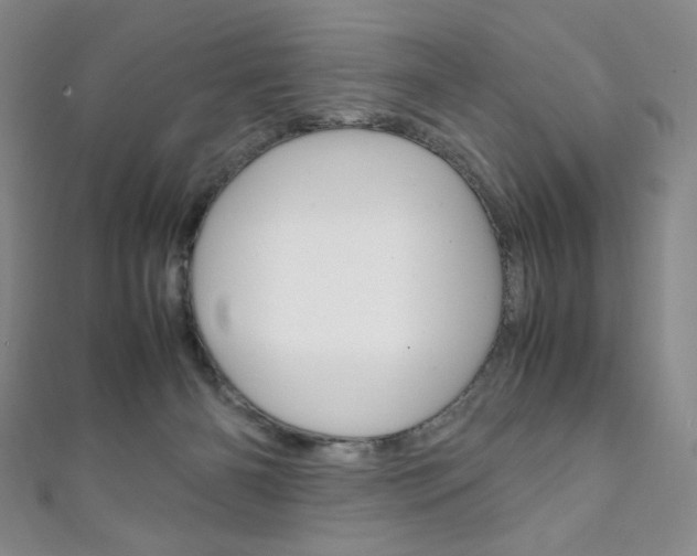 X0000111150126200906301046
