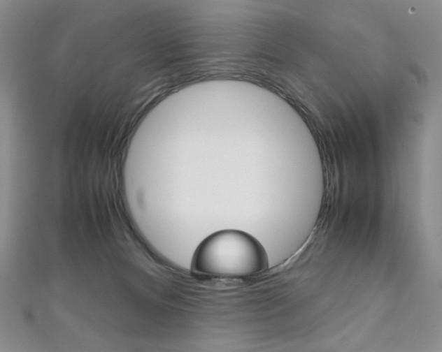 X0000111150128200906301045