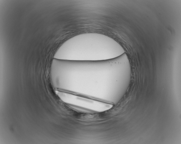 X0000111150129200906301045