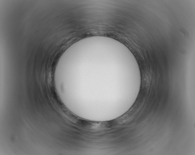 X0000111150130200906301045