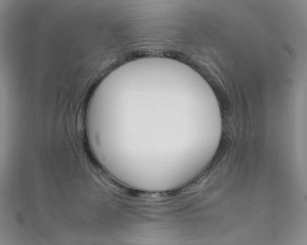 X0000111150131200906301045