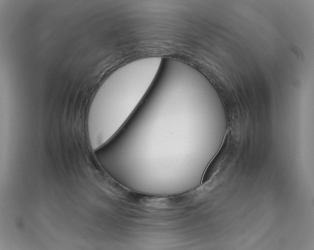 X0000111150132200906301045