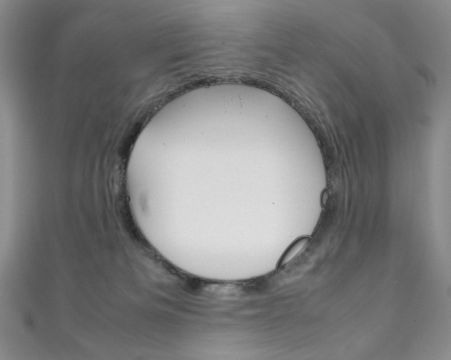 X0000111150133200906301045